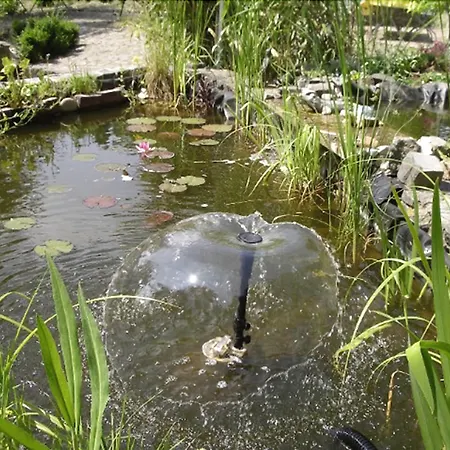 酒店 哈尔索夫酒店 萨尔茨吉特