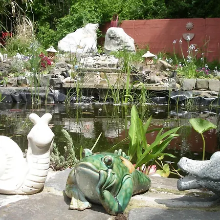 酒店 哈尔索夫酒店 3*