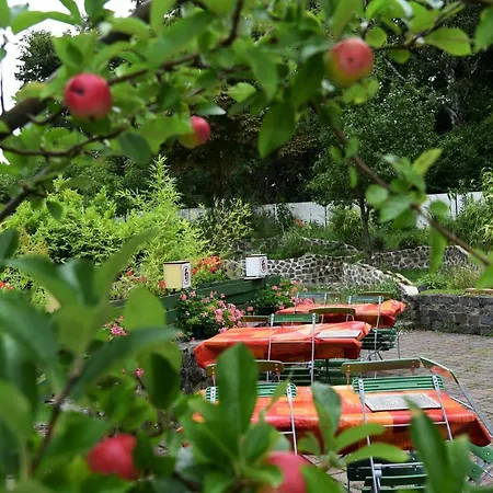 哈尔索夫酒店 3* 萨尔茨吉特